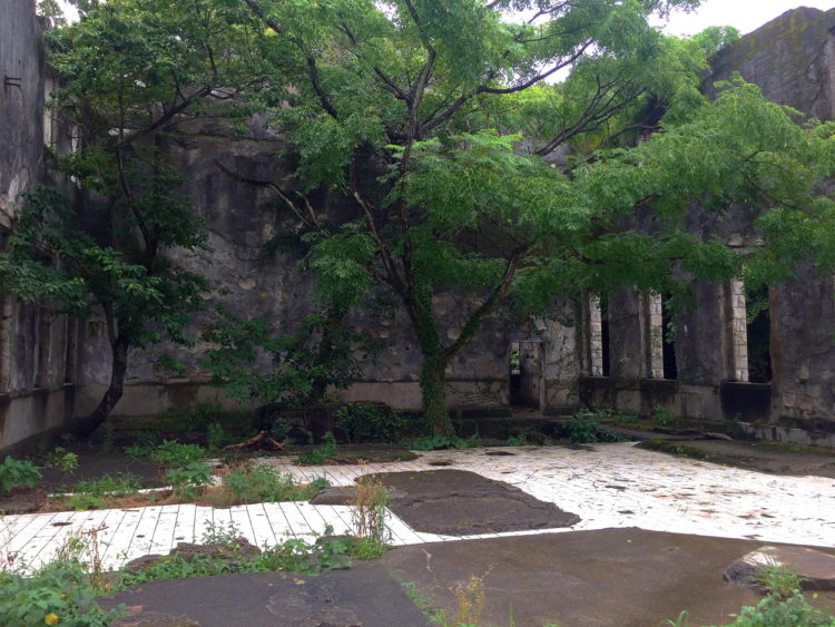 川棚　片島魚雷発射試験場跡　建物内部に生えている木